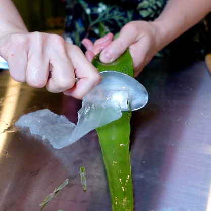 Aloe Vera Soap